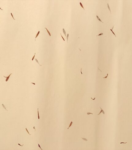 Frontalansicht eines handgemachten, cremefarbenen Papiers mit eingearbeiteten Blütenblättern