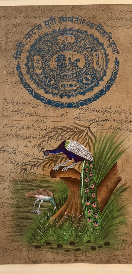 Zoom in eine handgemalte Zeichnung von einer Pfauenszenerie auf altem Stempelpapier