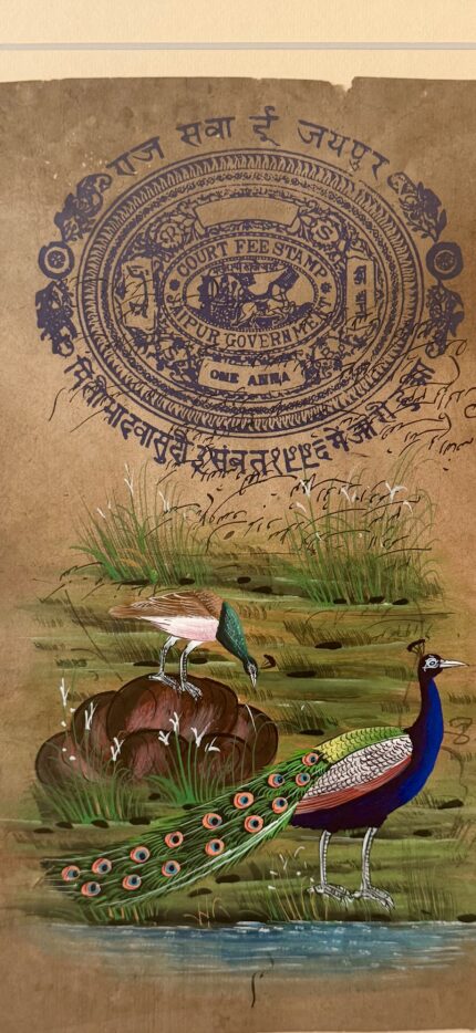 Zoom in eine handgemalte Zeichnung von einer Pfauenszenerie auf altem Stempelpapier