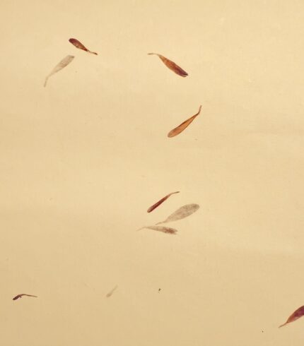 Zoom in eines handgemachtes, cremefarbenes Papiers mit eingearbeiteten Blütenblättern