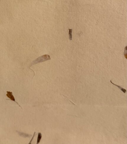 Zoom in eine handgemachte, cremefarbene Papiertragetasche mit eingearbeiteten Blütenblättern