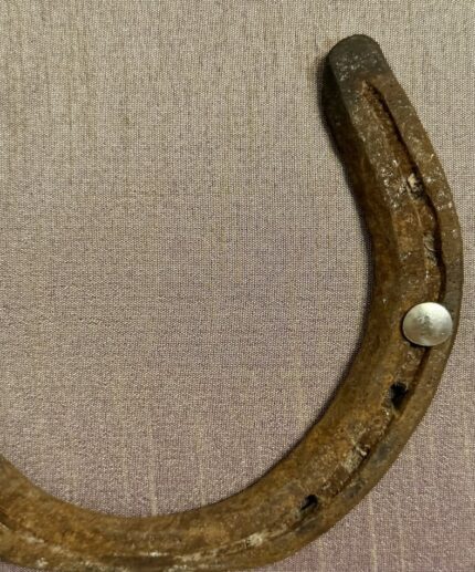 Zoom in ein Kunstwerk auf lavendelfarbener Seide mit einem antiken Hufeisen mittig platziert